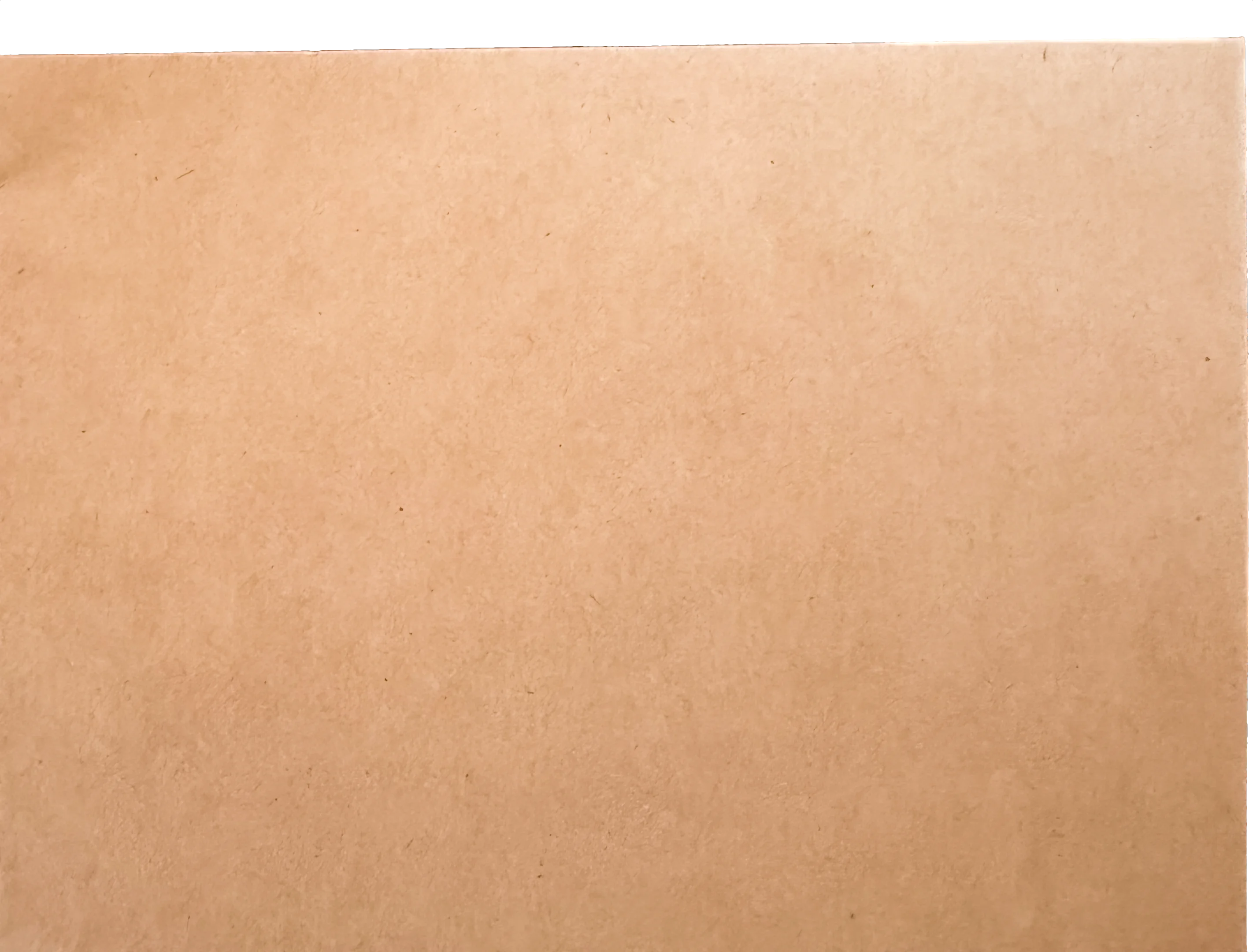 Standard 4x6 kraft paper envelope